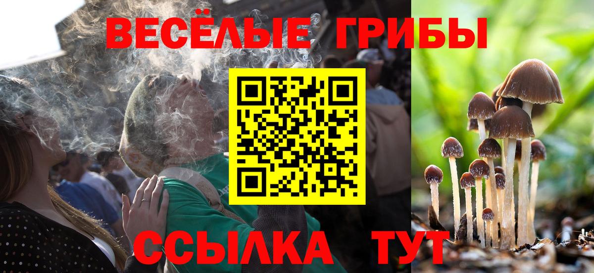 Галлюциногенные грибы Psilocybe  Вход с VPN  Чапаевск 