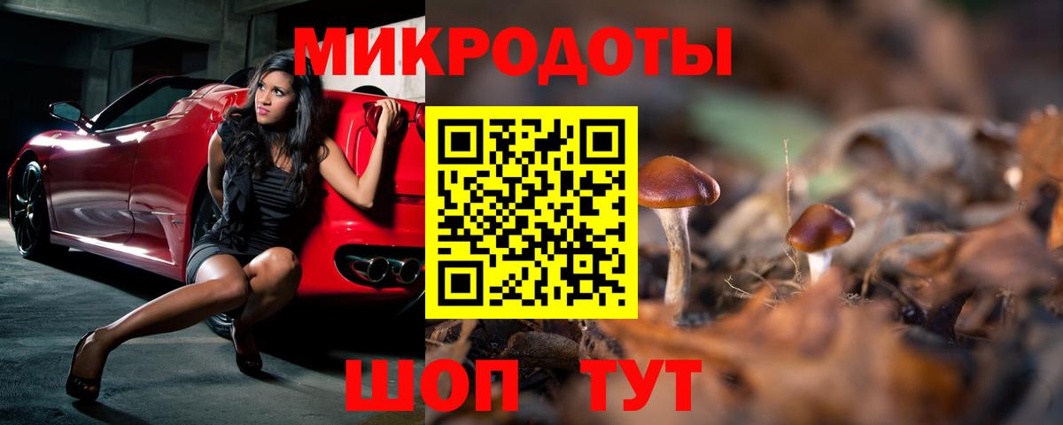 Галлюциногенные грибы Psilocybe Чапаевск